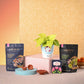 Philodendron Oxycardium Golden Plant & Epiphany Snacks Diwali Gift Hamper