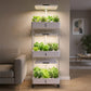 3-Tier Hydroponic Growing System with LED Grow Light