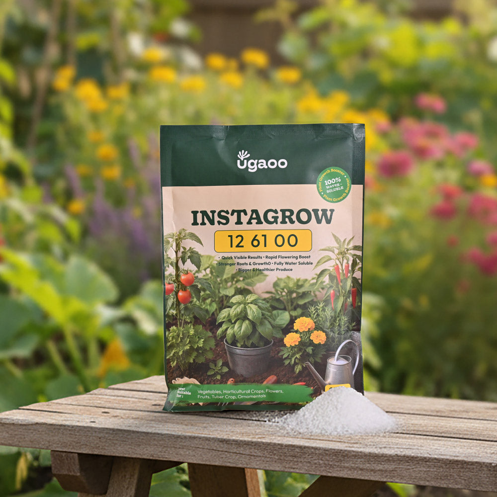 Instagrow NPK 12:61:00 Fertilizer