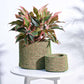 Heart Coir Planter - Set of 2