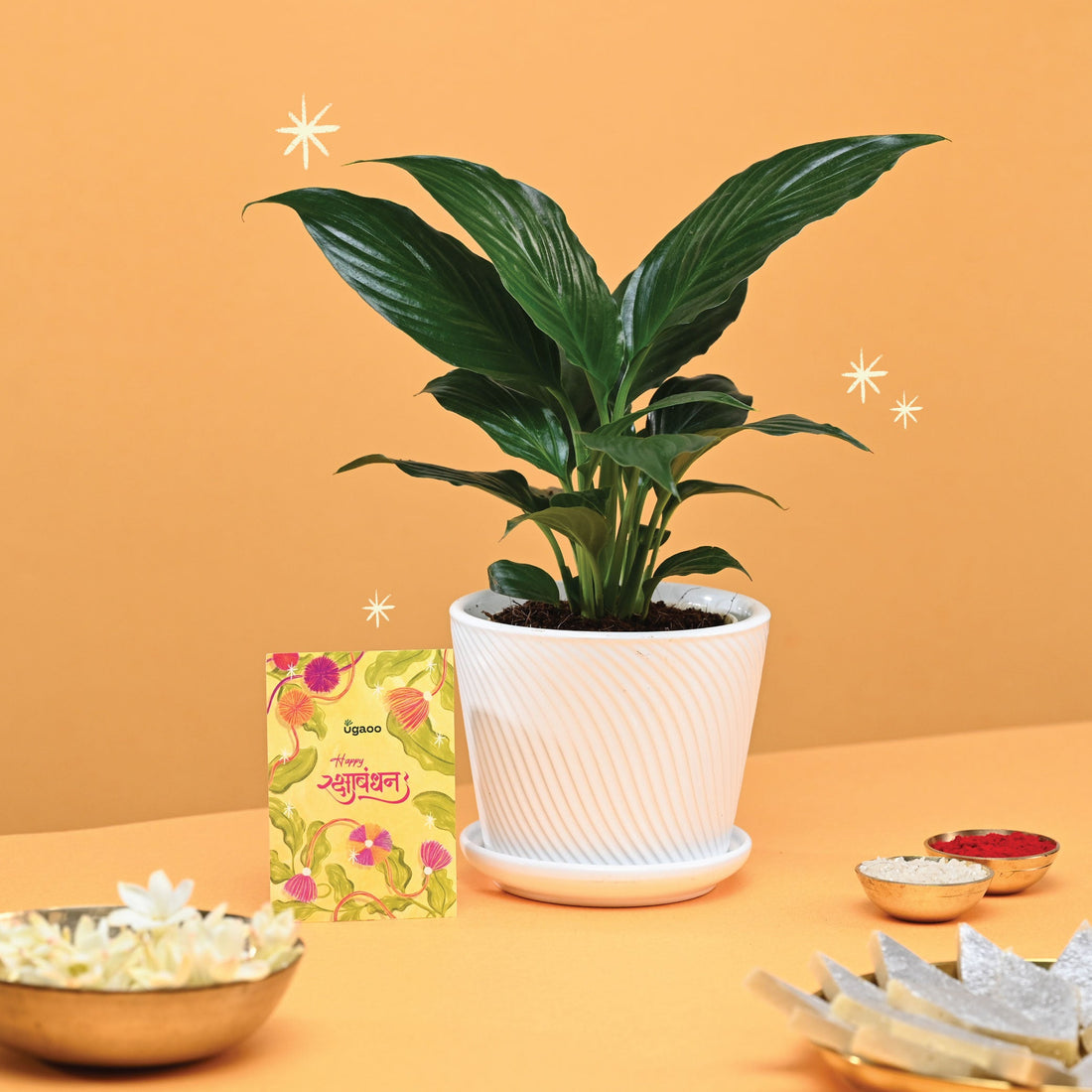 Rakhi Gift for Sister - Peace Lily Plant with Spiro Ceramic Pot