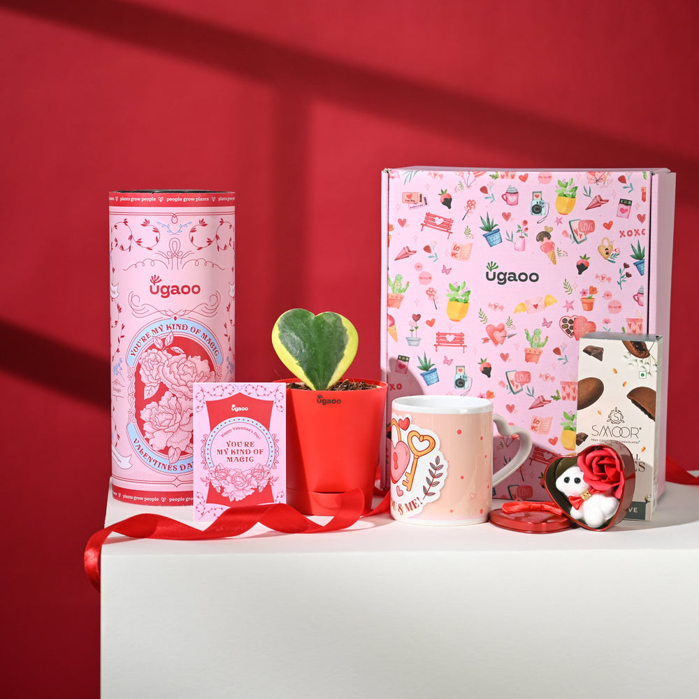 Pure Hearts Hamper
