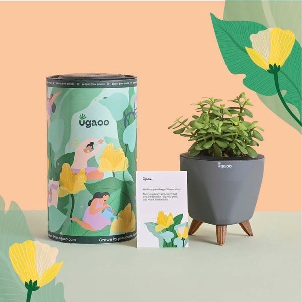 Jade Mini Women's Day Gift