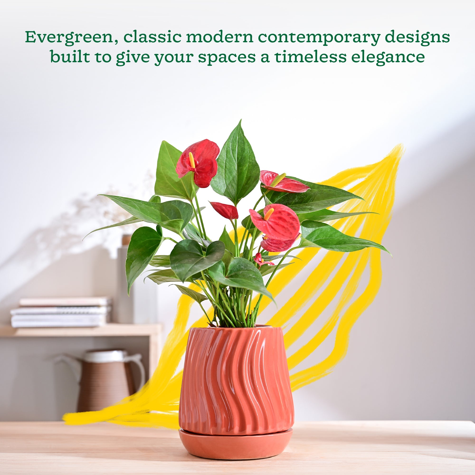 Fallen Angel Ceramic Planter – Ugaoo