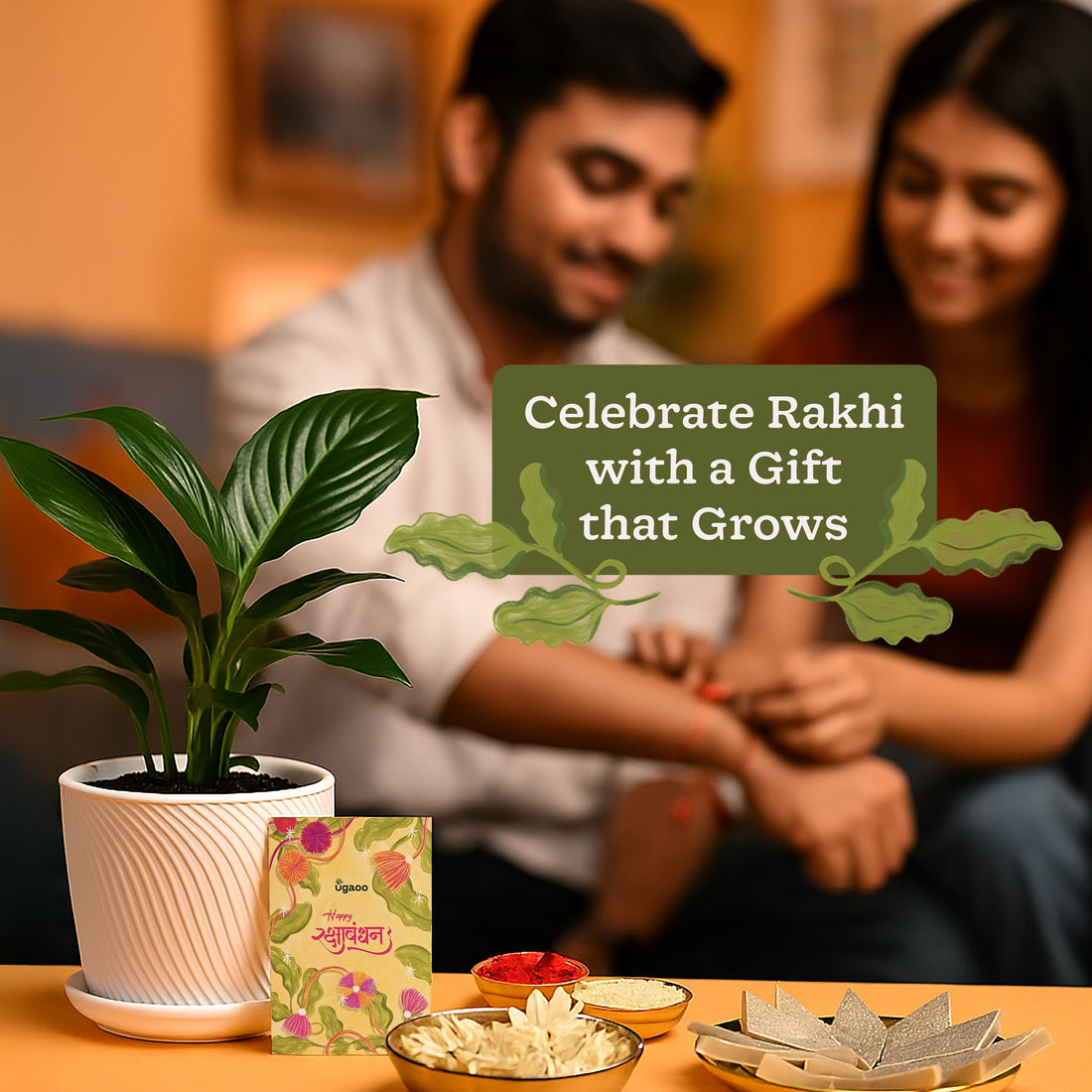 Rakhi Gift for Sister - Peace Lily Plant with Spiro Ceramic Pot