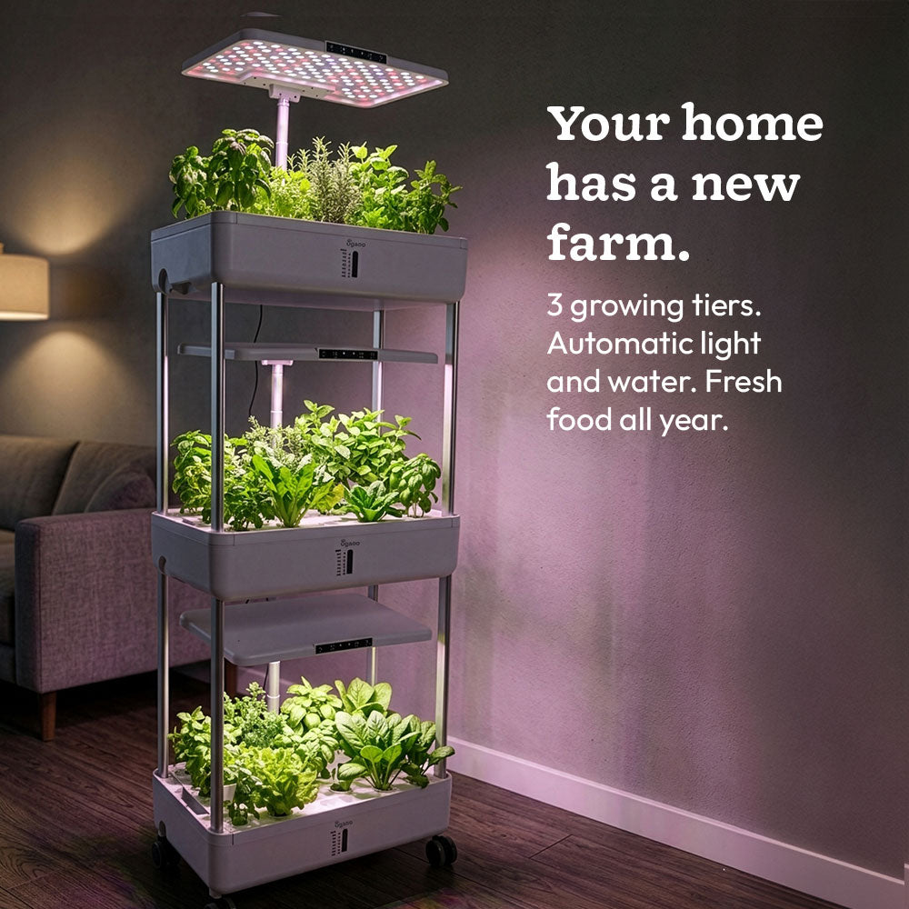 3-Tier Hydroponic Growing System with LED Grow Light