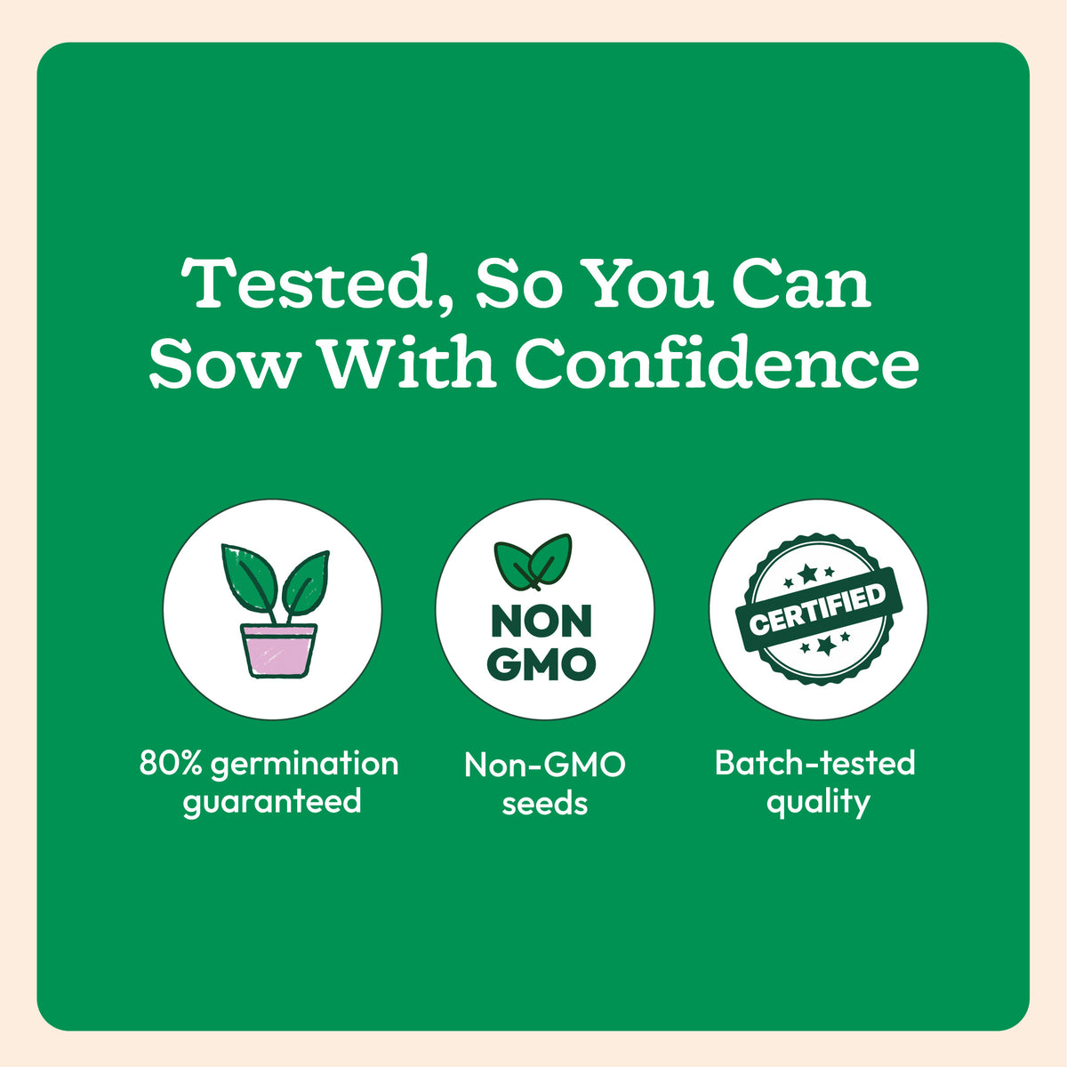 NUVSO173,NUVSO174