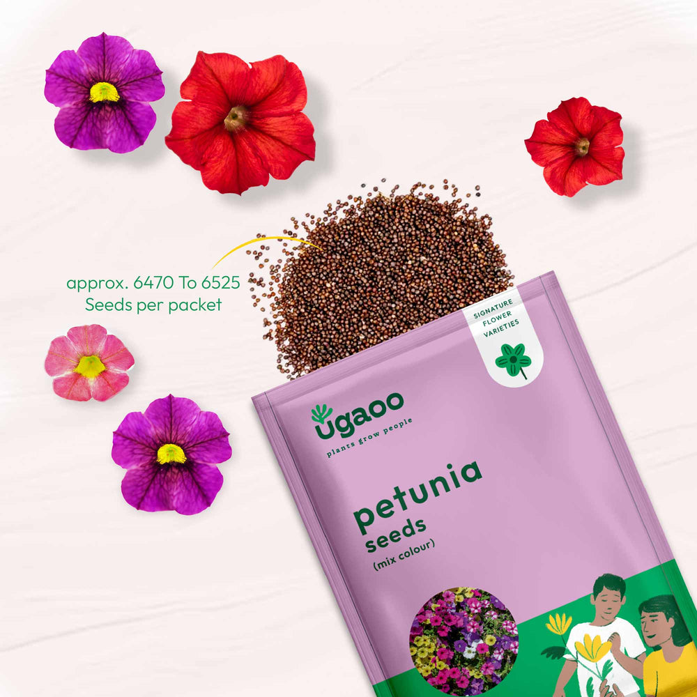 petunia flower seeds for sale Buy Petunia Mix Seeds Online