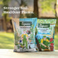 Ugaoo Essential Soil Nutrition Duo