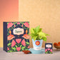 Money Plant Golden & Bombay Sweet Shop Diwali Gift Hamper
