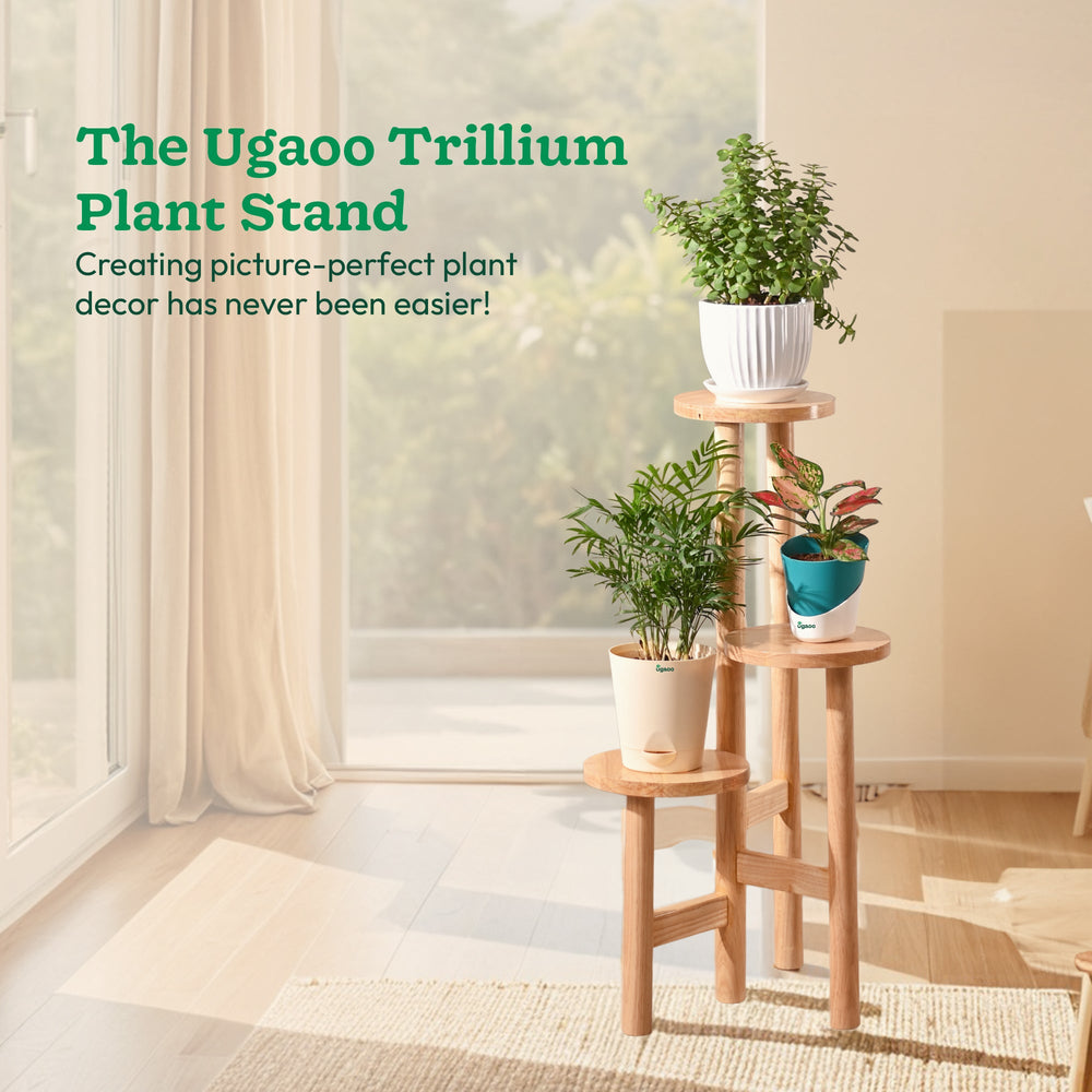 Trillum Wooden Stand