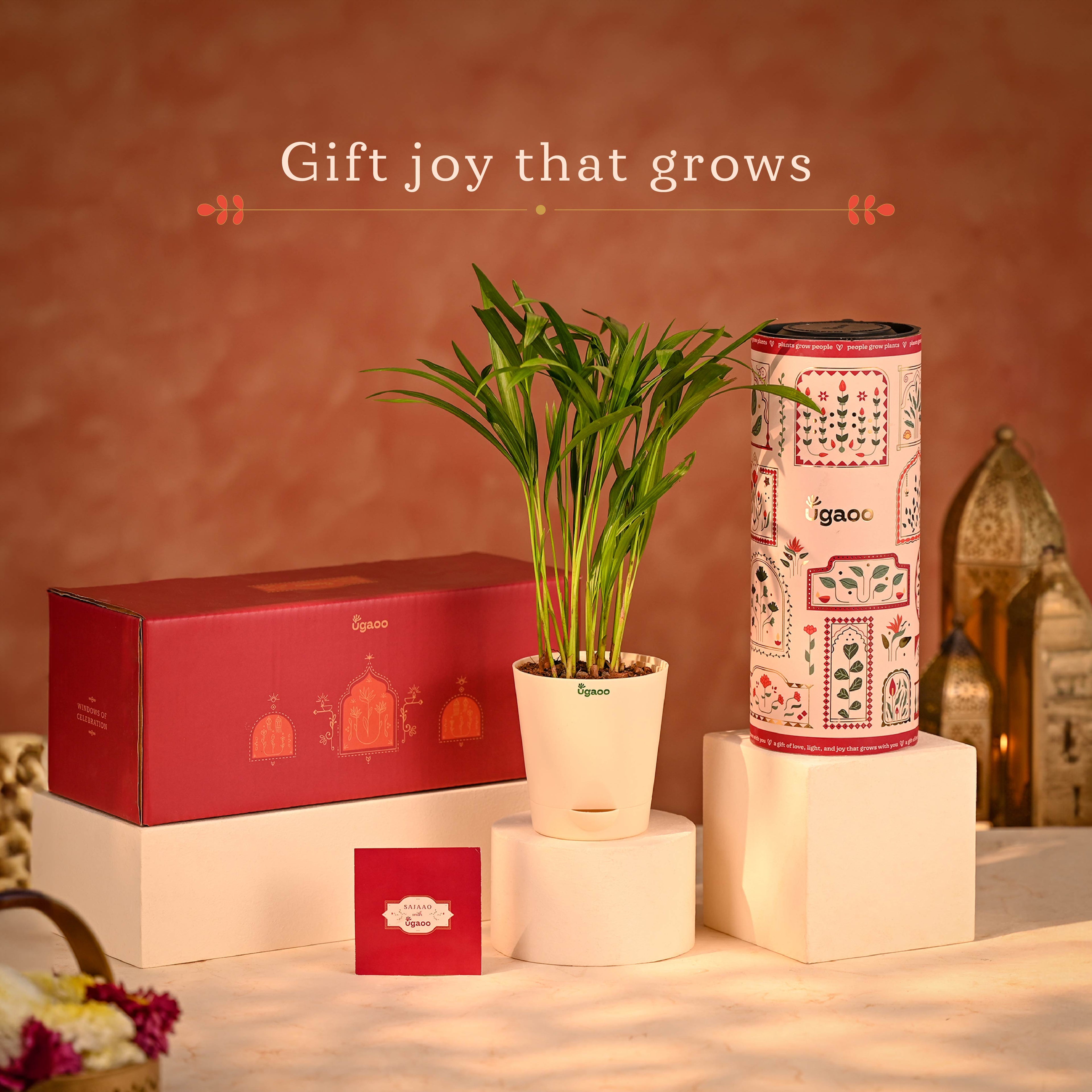 Festive Radiance with Diwali Gift Box