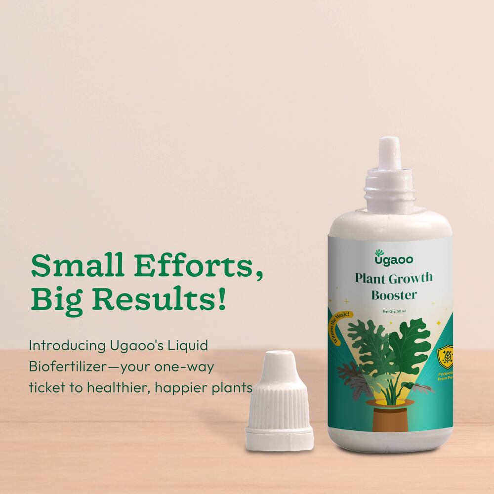 Plant Booster - Set of 3