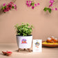 Rakhi Gift for sister -  Jade plant and chocolate