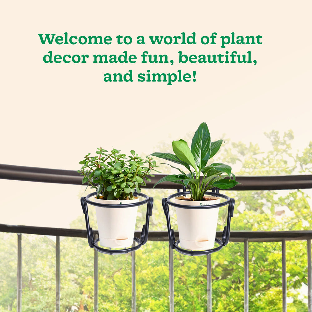 Hanging Plant Stands - Set of 2