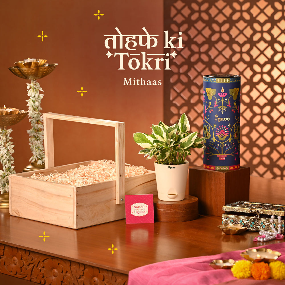 Tohfe Ki Tokri: Mithaas