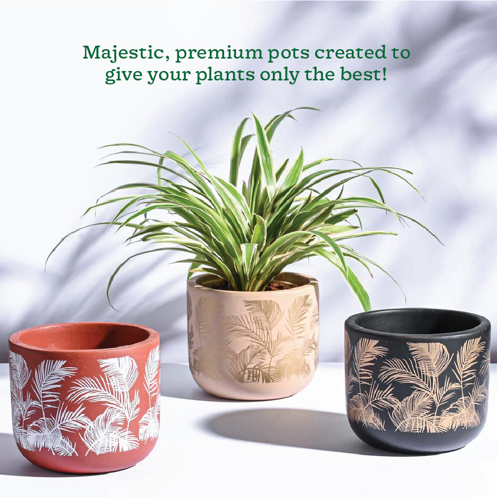 plant pots online india Sienna Terracotta Pots