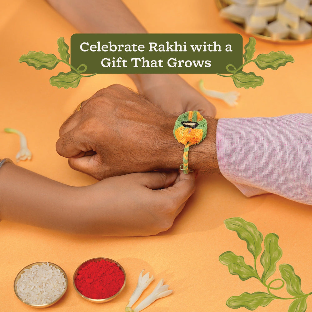 Plantable Seed Rakhi with Cucumber &amp; Chulai Seeds
