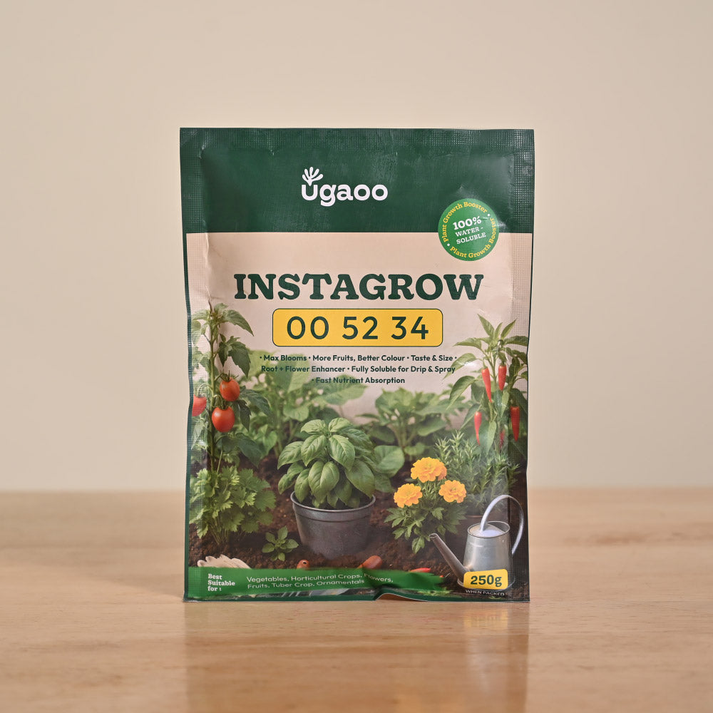 Instagrow NPK 00:52:34 Fertilizer