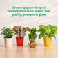 Ganapati Decor - Set of Plants