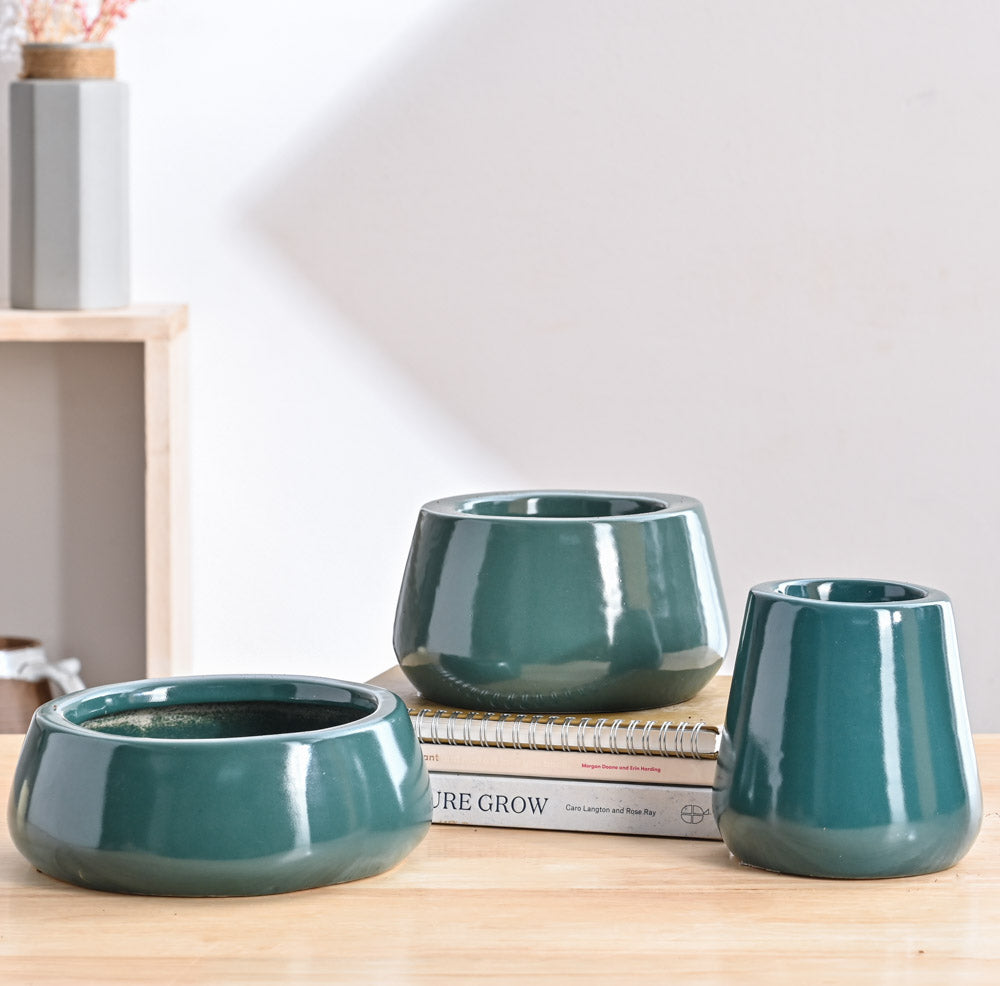 Tulip Fantasy Bundle - Dark Green