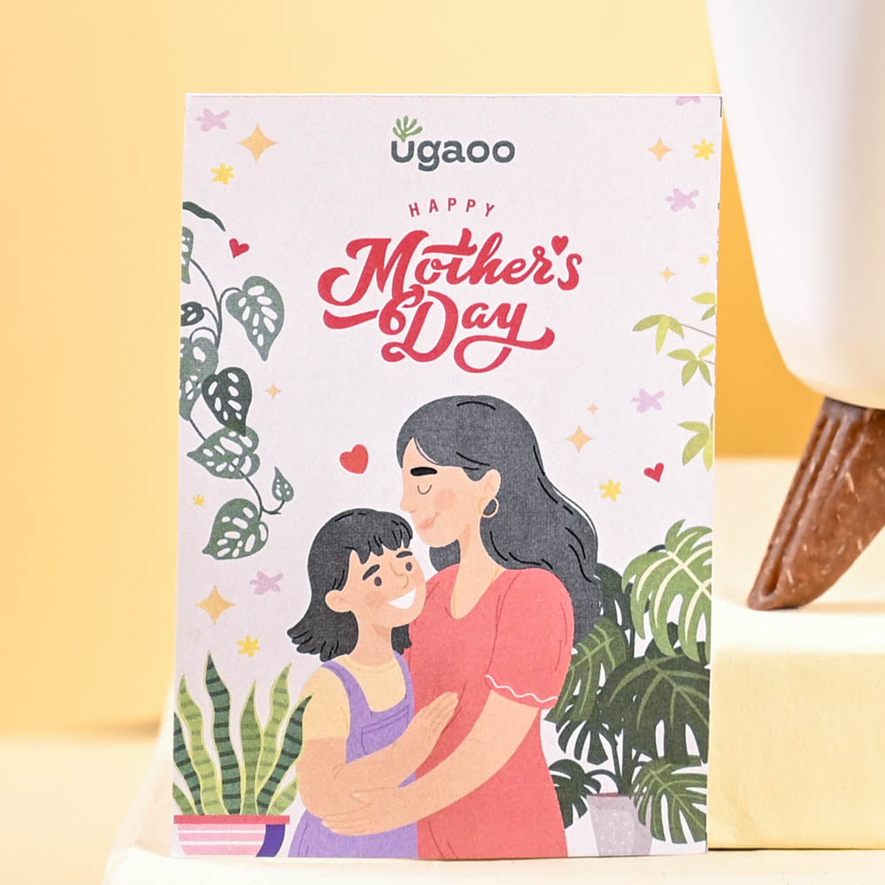 Aloe Vera Green Mini For Mother&