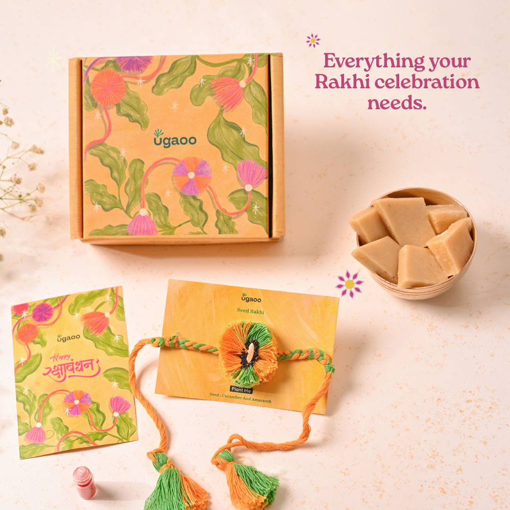 Plantable Seed Rakhi with Cucumber &amp; Amaranth Seeds