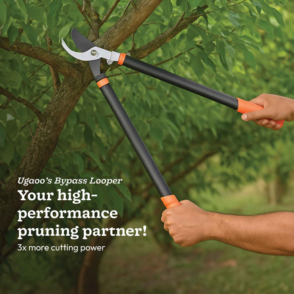 Compound Action Bypass Lopper