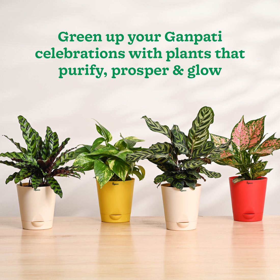 Ganapati Decor - Bundle of Plants
