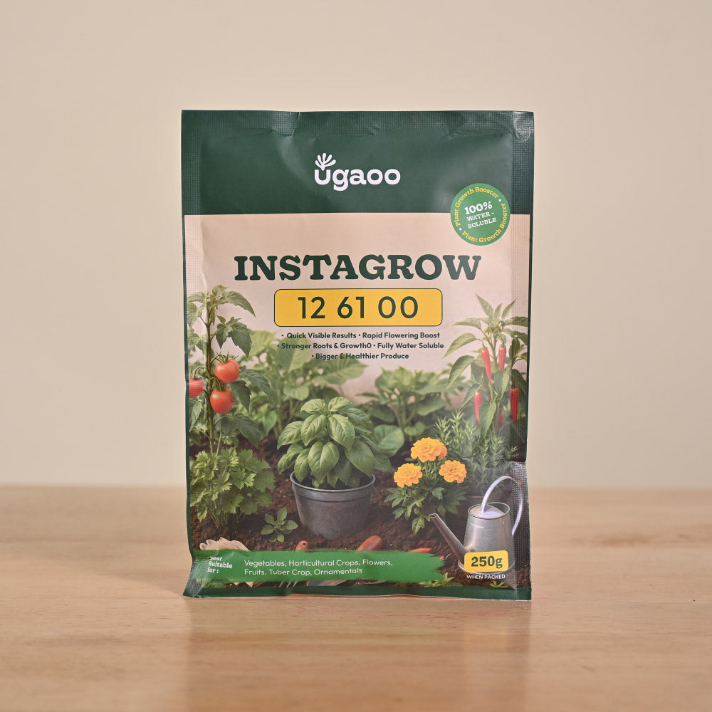 Instagrow NPK 12:61:00 Fertilizer