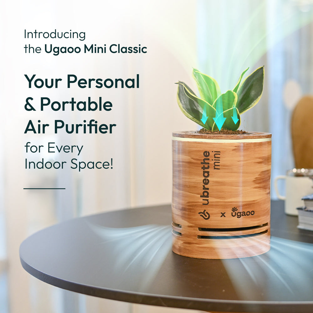 Mini Classic - Air Purifier for Home