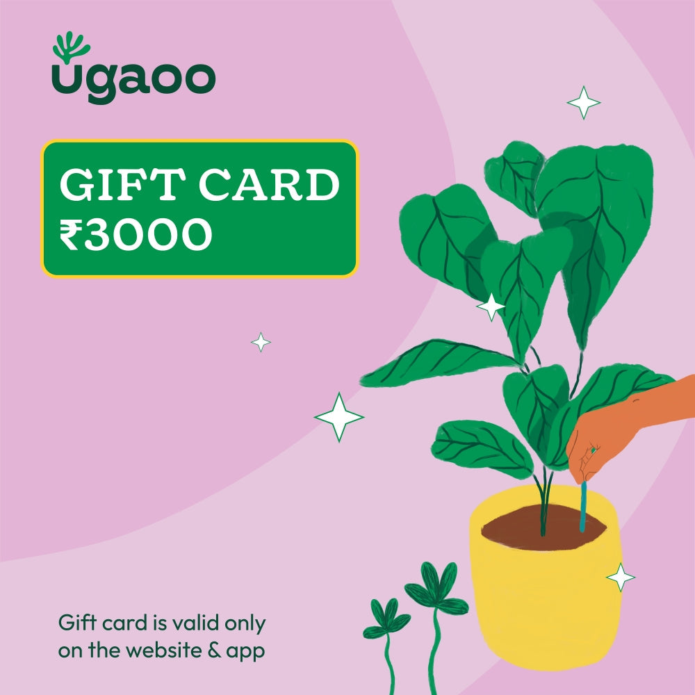 Ugaoo E-Gift Card