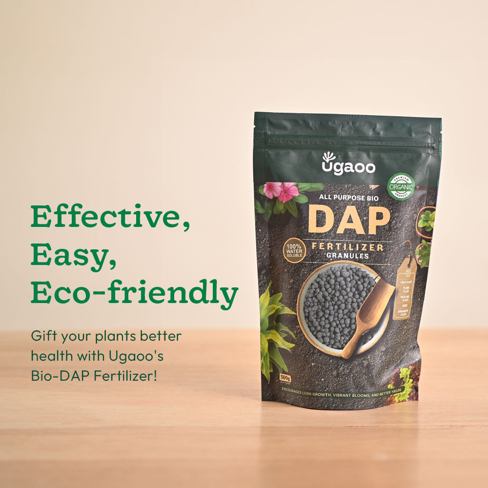 Bio DAP Fertilizer for Plants