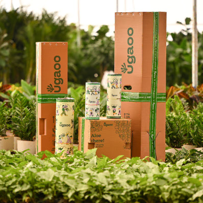 Survival packaging