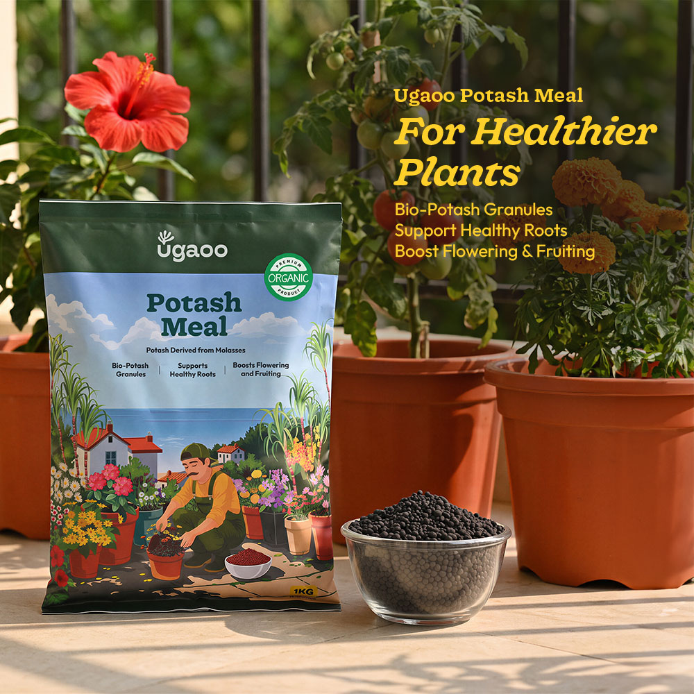 Potash Meal - 1kg