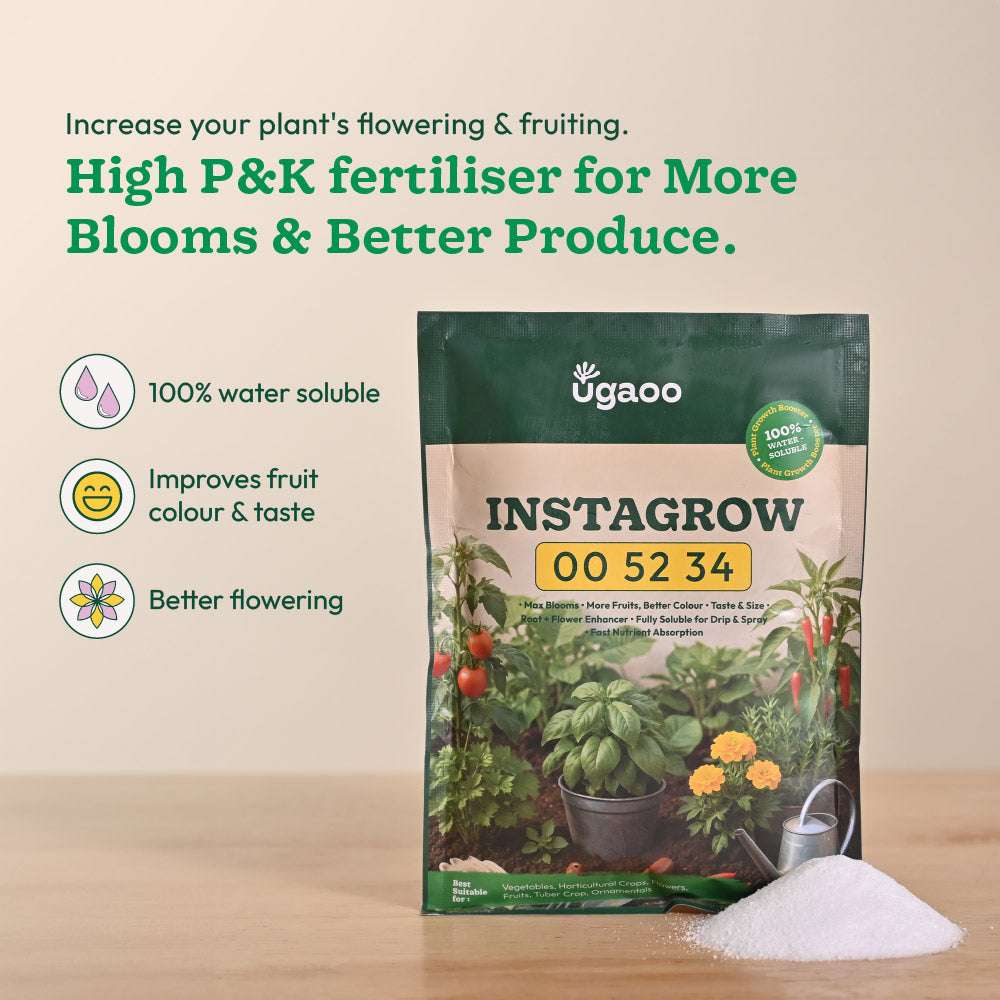 Instagrow NPK 00:52:34 Fertilizer