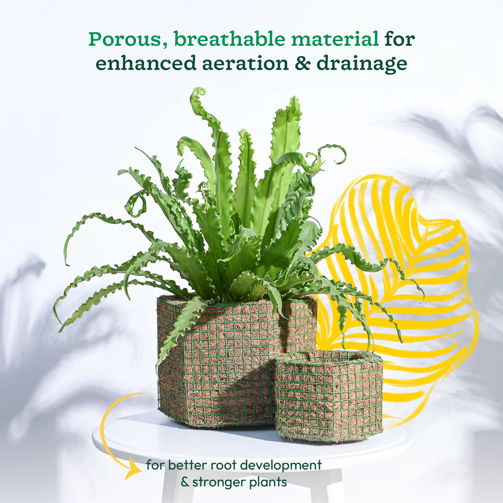 Hexa Coir Planter - Set of 2