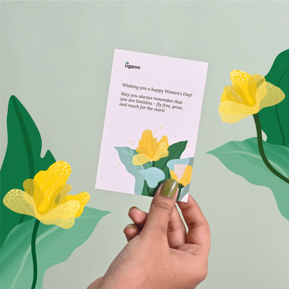 Peace Lily Plant Gift for Women&