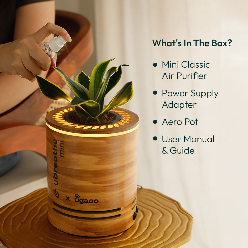 Mini Classic - Air Purifier for Home