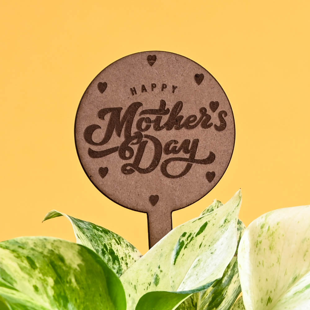 Money Plant Marble For Mother&