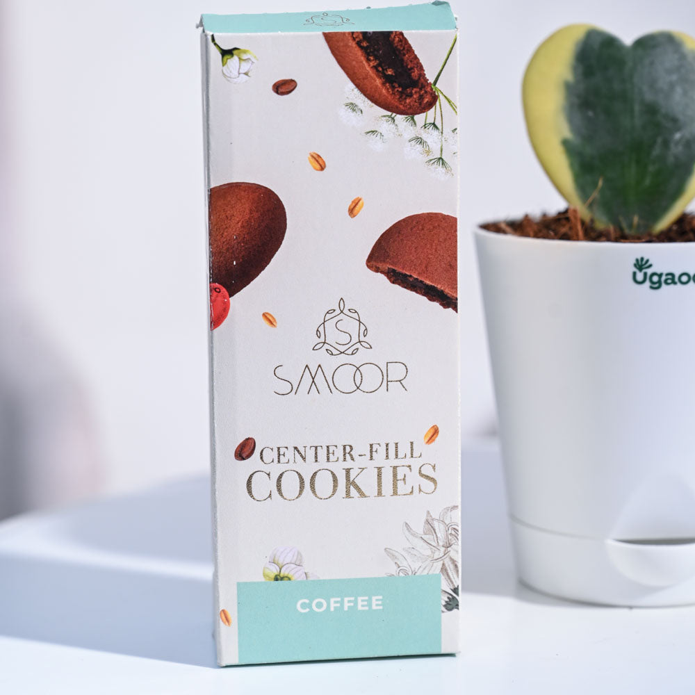 Heart Hoya - Variegated Birthday Gift Hamper