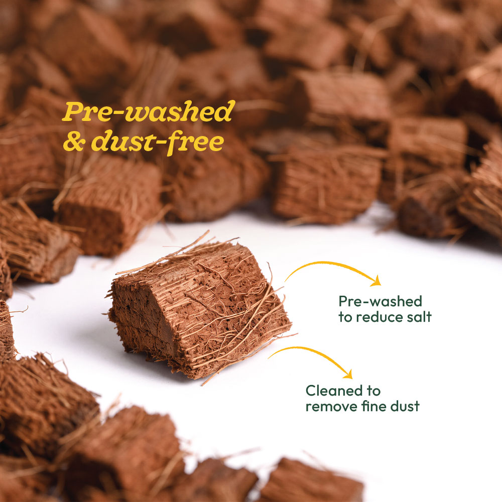 Coco husk chips