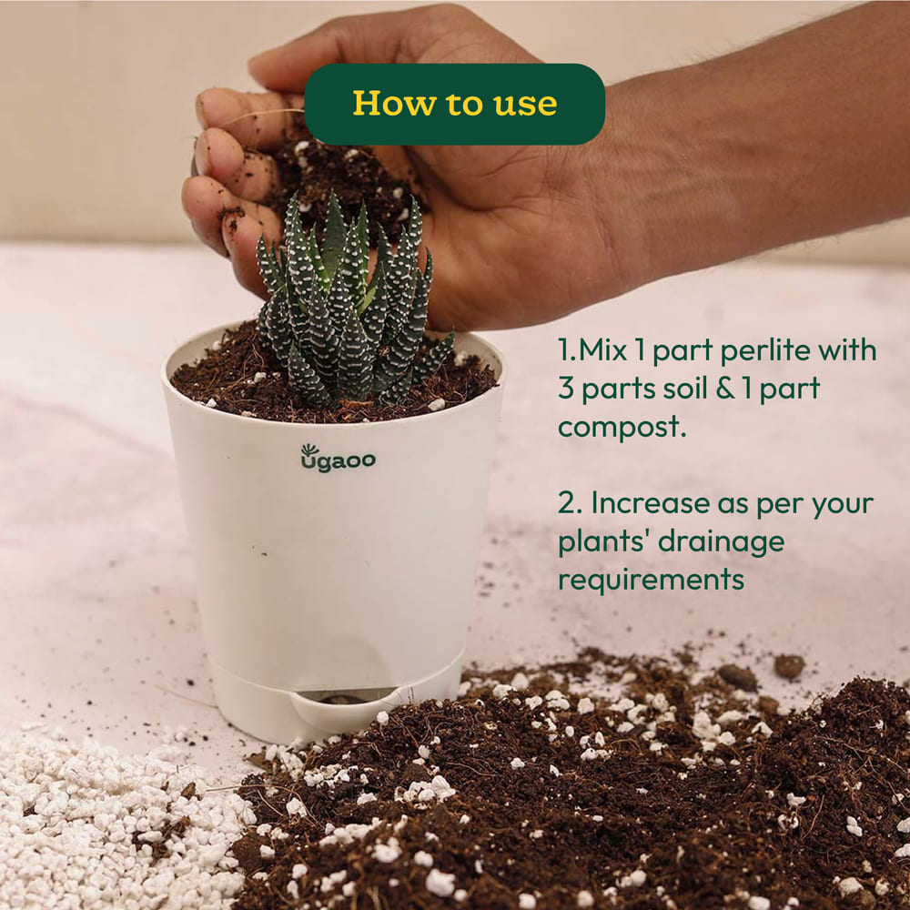 perlite for succulents Premium Perlite for Plants: Improve Soil Structure & Growth – Ugaoo