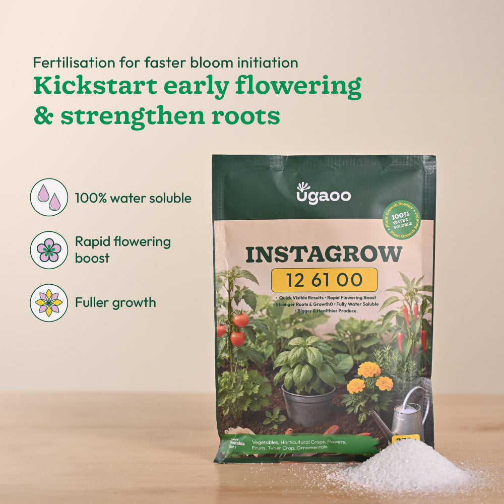 Instagrow NPK 12:61:00 Fertilizer