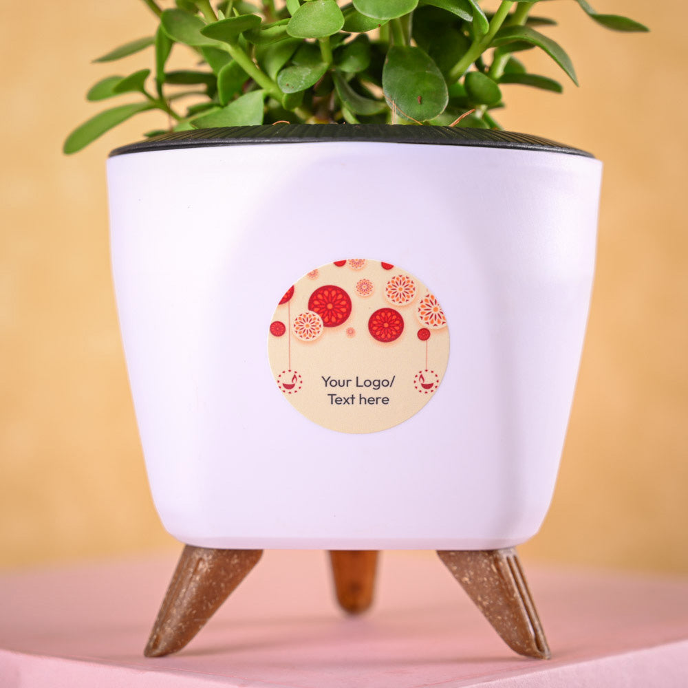 Jade Mini &amp; Nutki Gourmet Nut Mix Diwali Gift Hamper