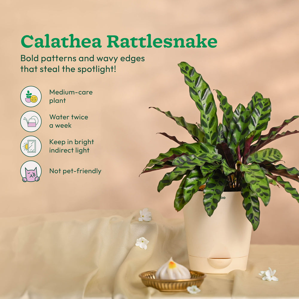 Ganapati Decor - Bundle of Plants