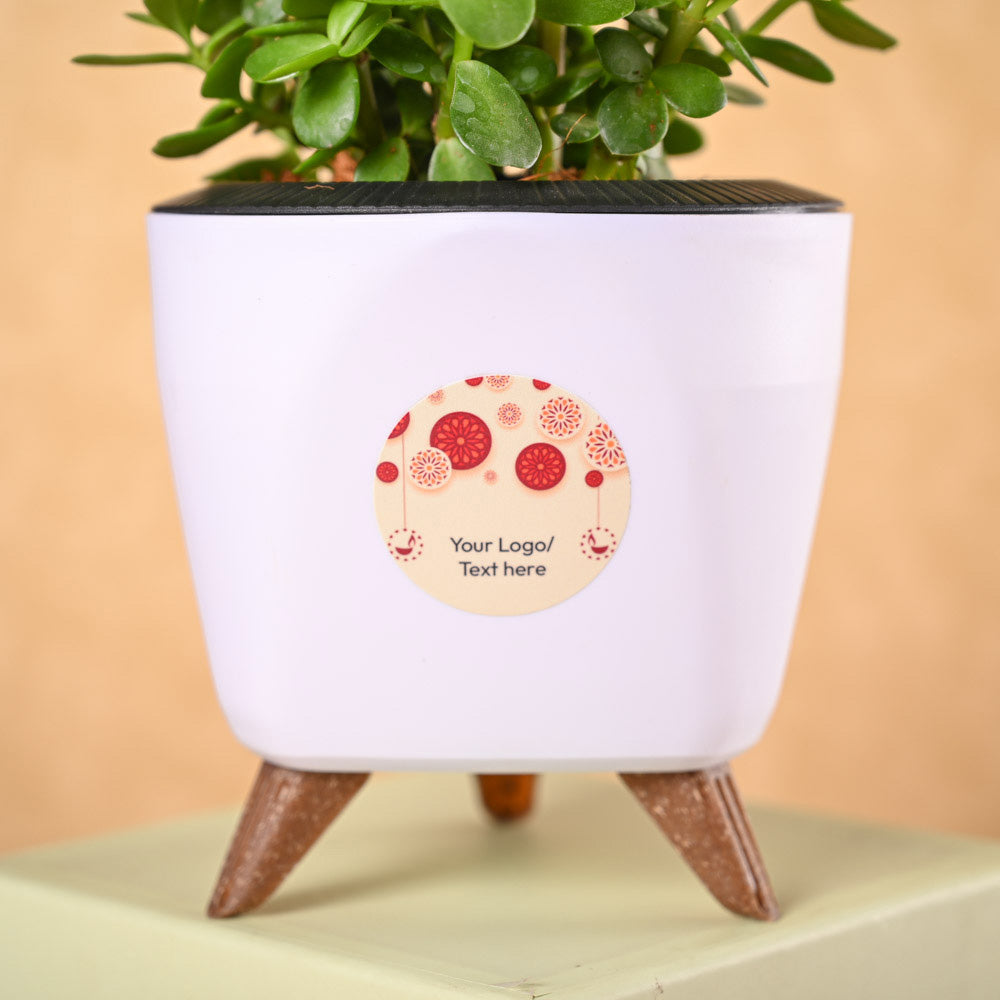 Jade Mini &amp; Phool Incense Diwali Gft Hamper