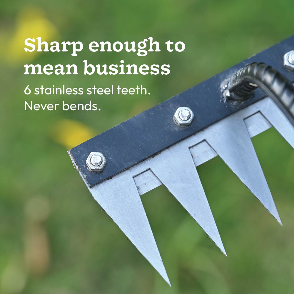 Hand Rake 6 Teeth