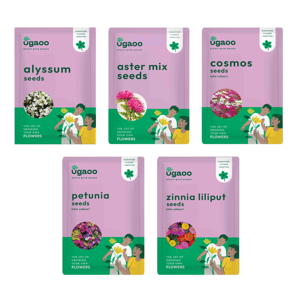 combo flower seeds Summer Flower Seeds Bundle of 5 Packet – Ugaoo