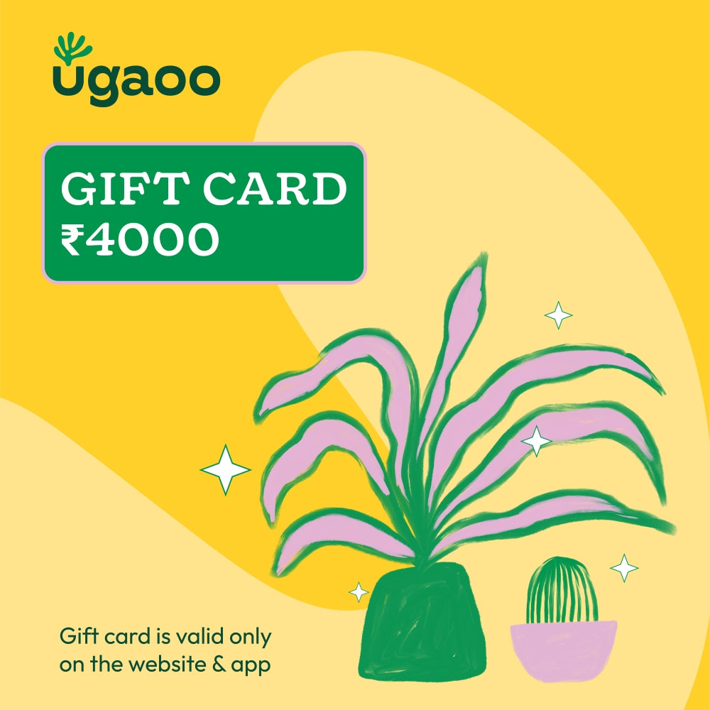 Ugaoo E-Gift Card